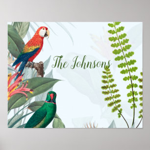 Tropiska fåglar Parrots & Foliage Poster