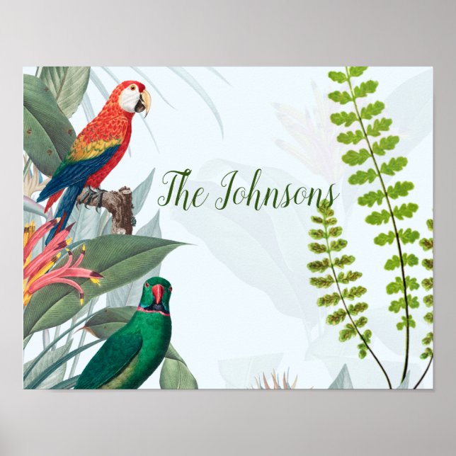 Tropiska fåglar Parrots & Foliage Poster (Framsidan)