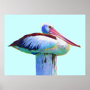 Tropiska Färgaden Pelican Poster