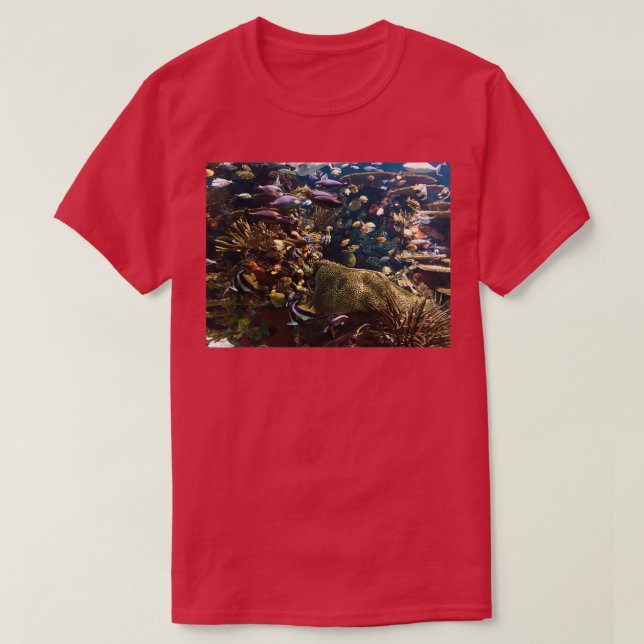 Tropiska fiskar 2 t shirt (Design framsida)