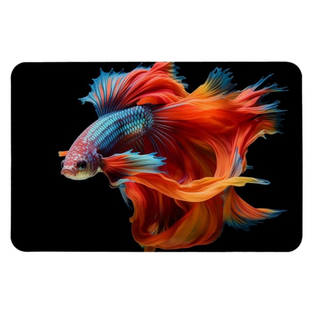 Tropiska fiskar magnet (Horisontell)