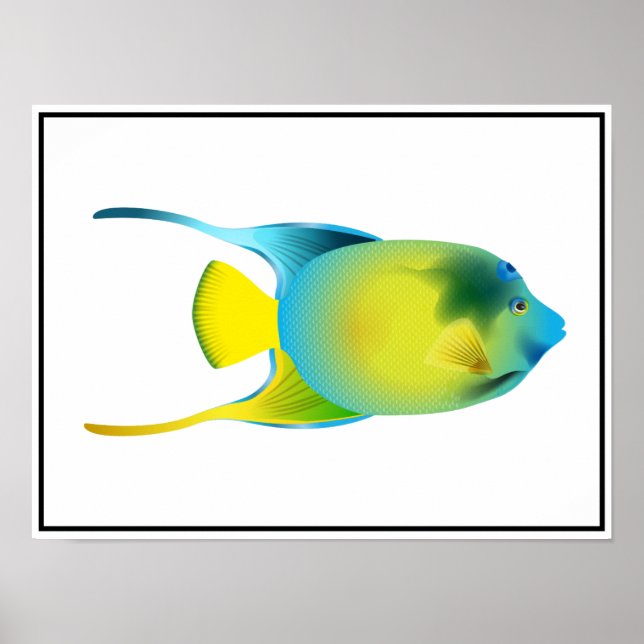 Tropiska fiskar Poster (Framsidan)