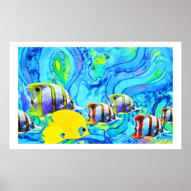 Tropiska fiskar poster (Framsidan)