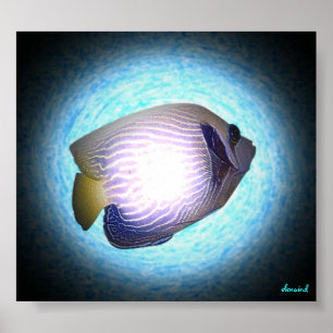 Tropiska fiskar poster