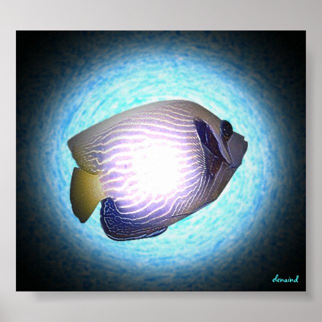 Tropiska fiskar poster (Framsidan)