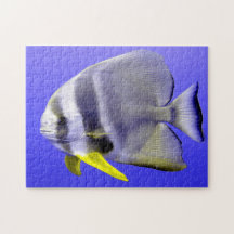 Tropiska fiskar
