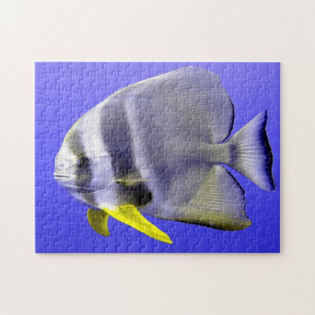 Tropiska fiskar pussel (Horisontell)