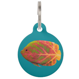 Tropiska fisken aspen Löv 1 Djurbricka