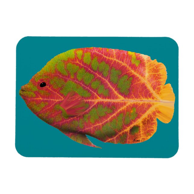 Tropiska fisken aspen Löv 1 Magnet (Horisontell)