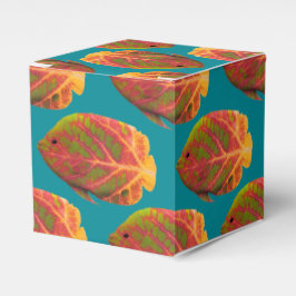 Tropiska fisken aspen Löv 1 Presentaskar