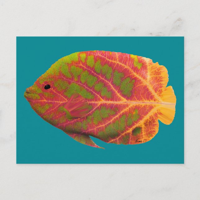 Tropiska fisken aspen Löv 1 Vykort (Framsida)