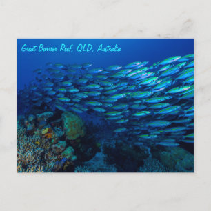 Tropiska fiskens Underbara barriär Reef Coral Sea Vykort