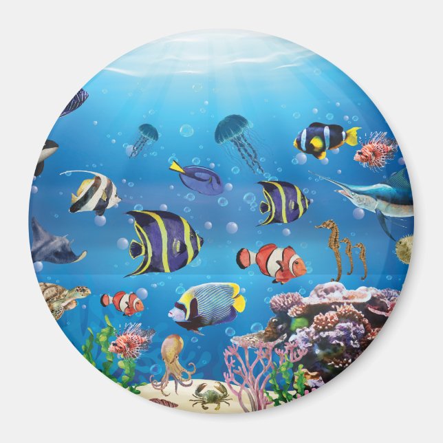 Tropiska fisksimbassänger magnet (Framsidan)