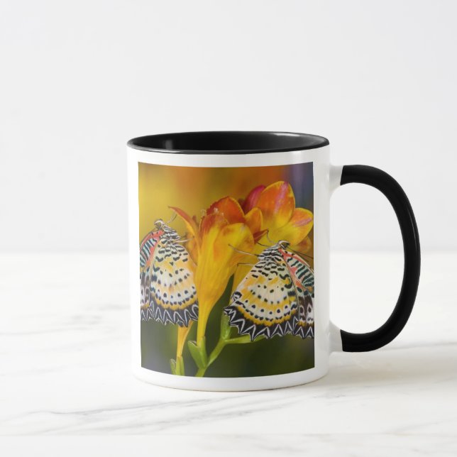 Tropiska Fjäril Tvillingar Mugg (Höger)