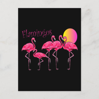 Tropiska Flamingo Art-gåvor Vykort