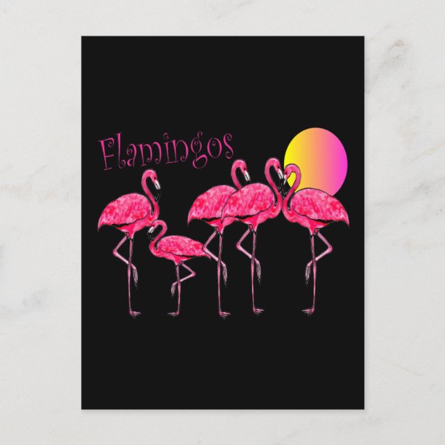 Tropiska Flamingo Art-gåvor Vykort (Framsida)