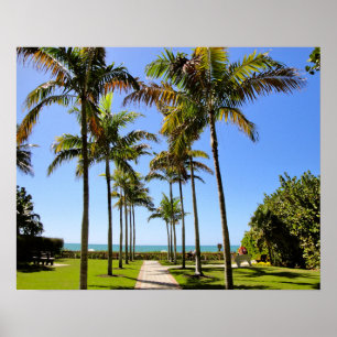 TROPISKA FLORIDA STRANDPALMTRÄD PARKERAR POSTER