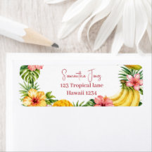 Tropiska frukter Ananas Hawaianian Baby Shower
