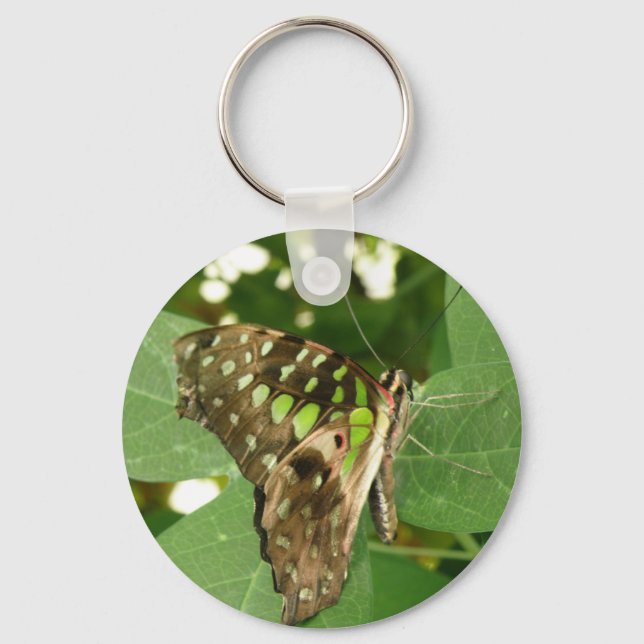 Tropiska Grönten Butterfly Keychain (fjärilskanal) Nyckelring (Framsida)