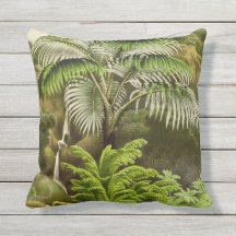 Tropiska Handflatan inomhus