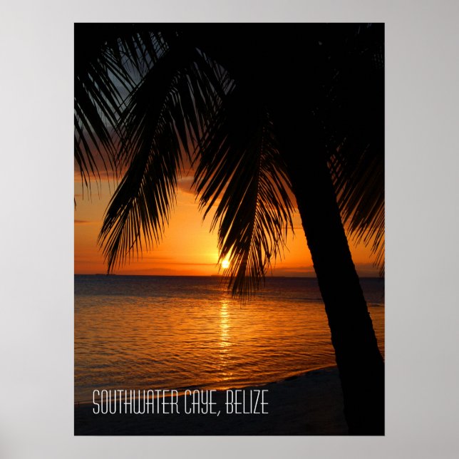 Tropiska Handflatan Träd sunset i Belize Poster (Framsidan)