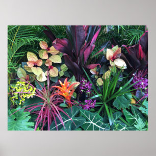 Tropiska hawaianska floror poster