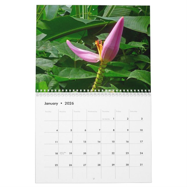 Tropiska Hawaii Kalender (Jan 2026)