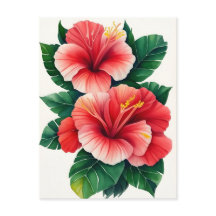 Tropiska Hawaii Ljus Röd Hibiskus