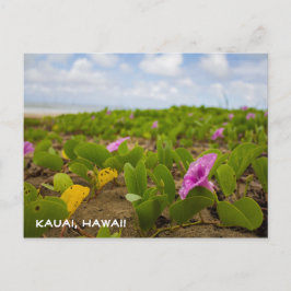 Tropiska Hawaii-strandblomma | Kauai vykort