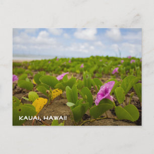 Tropiska Hawaii-strandblomma Kauai vykort