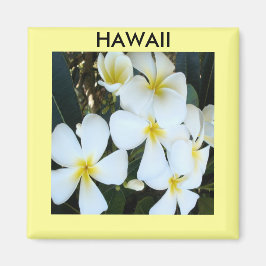 tropiska hawaiiska blommor magnet