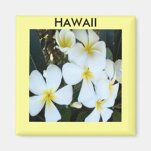 tropiska hawaiiska blommor magnet