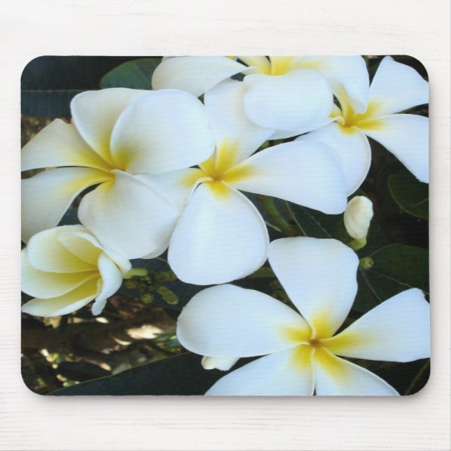 tropiska hawaiiska blommor musmatta (Framsidan)