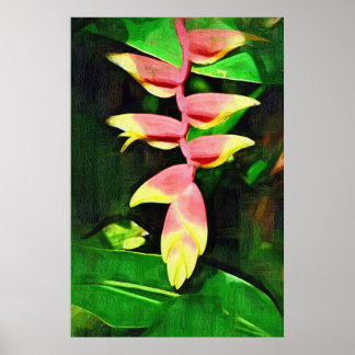 Tropiska Heliconia - Lobster Klo Poster