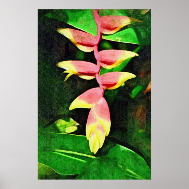 Tropiska Heliconia - Lobster Klo Poster (Framsidan)