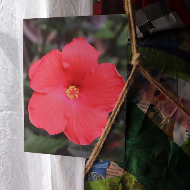 Tropiska Hibiscus Flower Art Vykort (Skapare uppladdad)