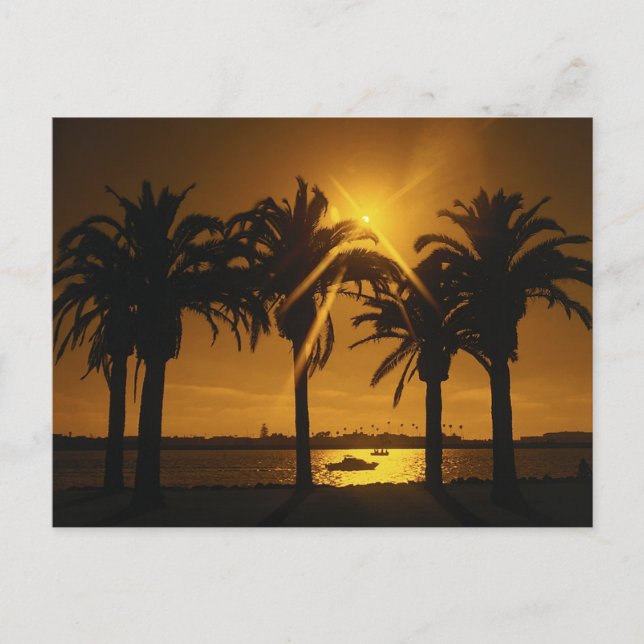 Tropiska Himlar-bakgrund Vykort (Framsida)