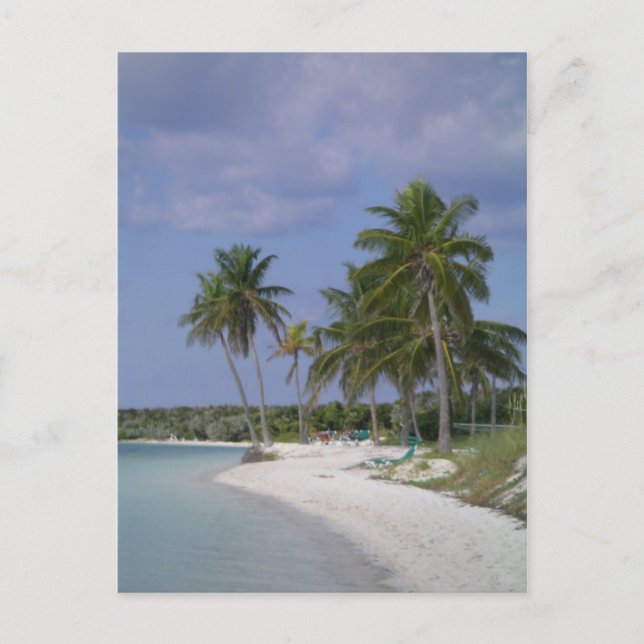 Tropiska inställningar vykort (Framsida)