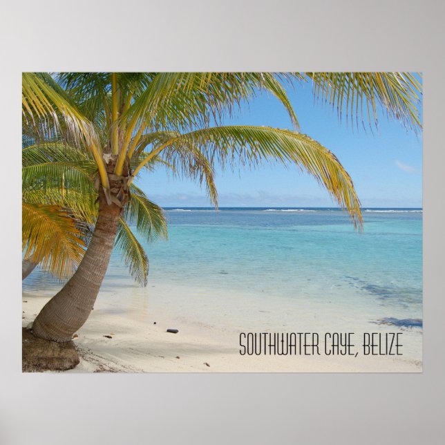 Tropiska karibiska ön Belize strand och palmer Poster (Framsidan)