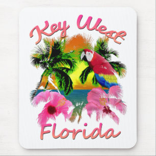 Tropiska Key West Florida Keys Musmatta