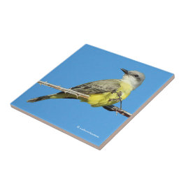 Tropiska Kingbird på Blackberry Gren Kakelplatta