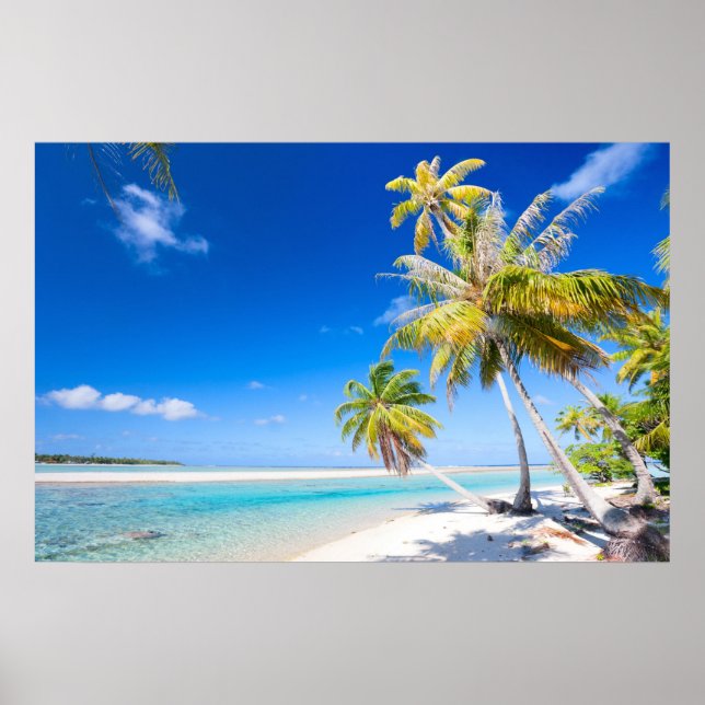 Tropiska kusten poster (Framsidan)