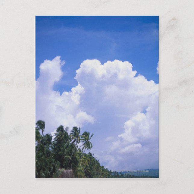 Tropiska kustlinjen vykort (Framsida)