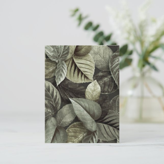 Tropiska Löv 5 Vykort (Stående Fram)