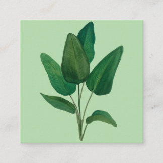 Tropiska Löv Fyrkantigt Visitkort