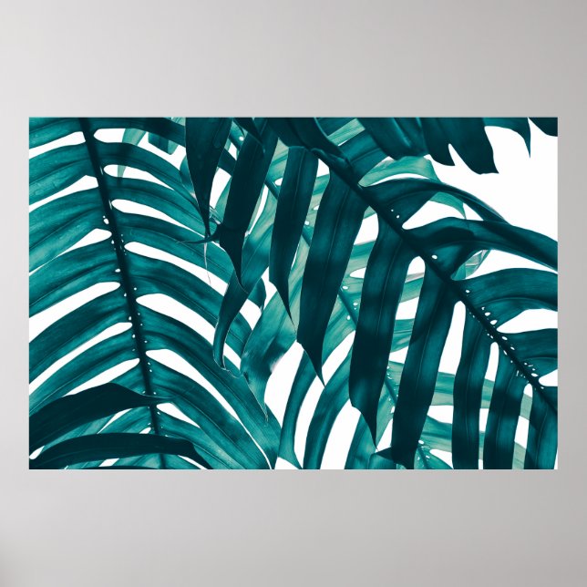 tropiska löv, rand av exotiska blad i regn f poster (Framsidan)