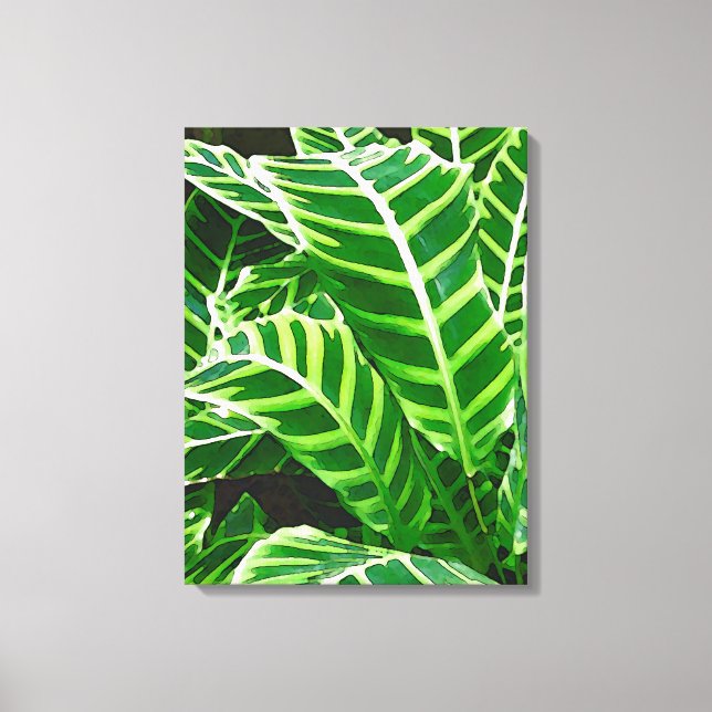 Tropiska Löv, Zebra Plant, Mörk grönt Canvastryck (Framsida)