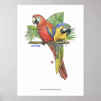 Tropiska Macaws Poster