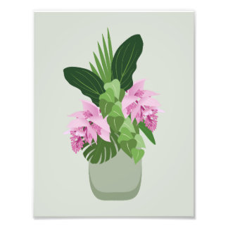 Tropiska Medinilla Rosa Flower i Vas på Grönt Fototryck