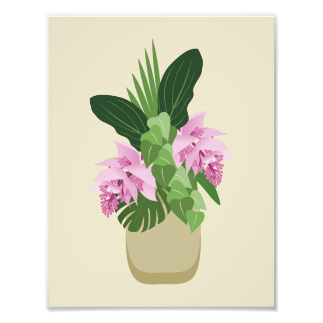 Tropiska Medinilla Rosa Flower i Vas på Gult Fototryck (Framsidan)